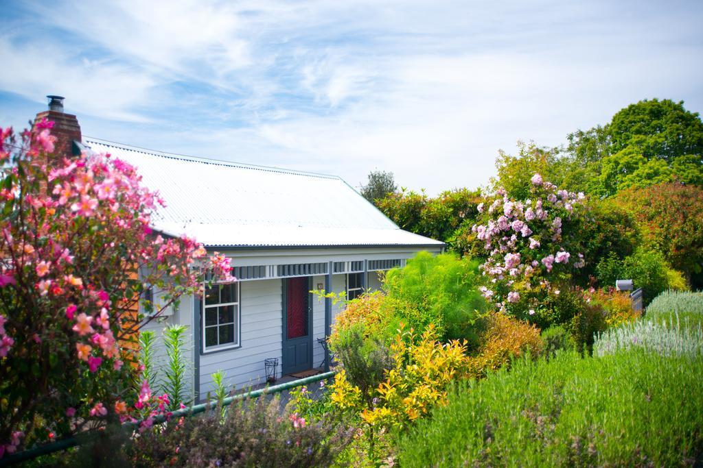 Fortuna Cottage Daylesford Buitenkant foto